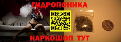 крисы Татарск