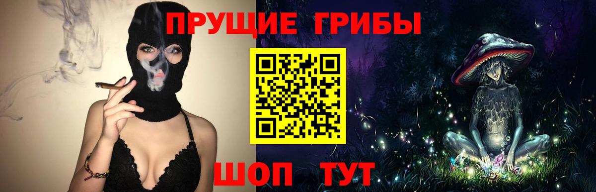 Псилоцибиновые грибы Psilocybe Октябрьский