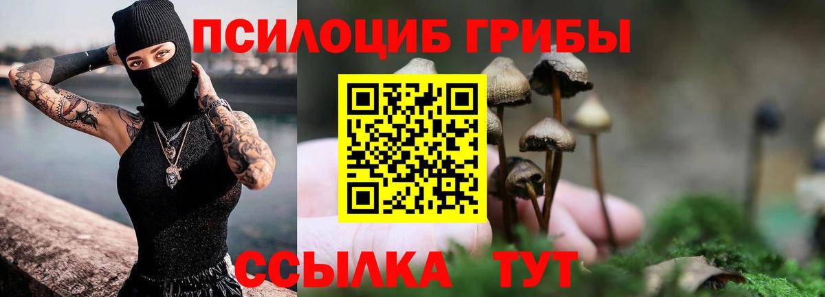 Псилоцибиновые грибы мухоморы  купить наркоту  Галлюциногенные грибы MAGIC MUSHROOMS  Октябрьский  Вход с VPN 
